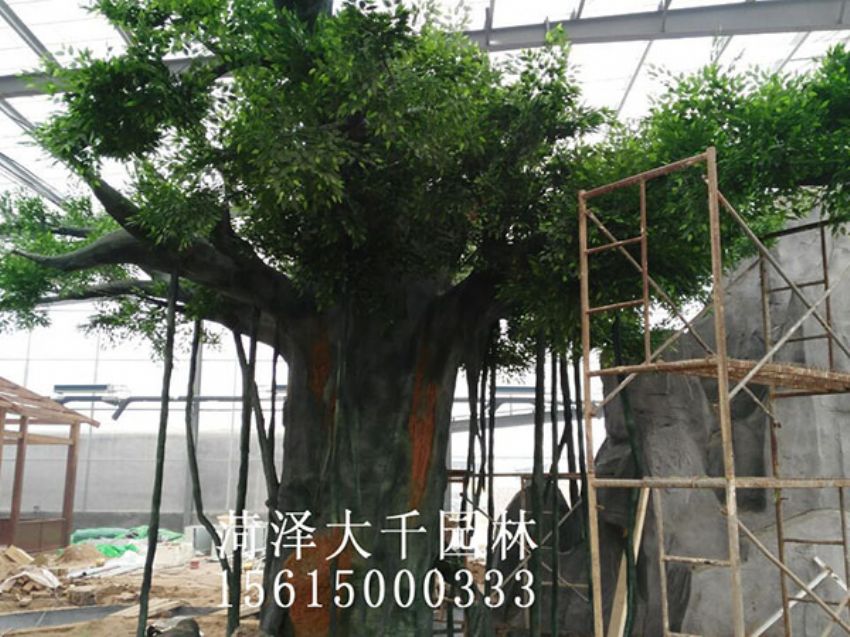 點(diǎn)擊查看詳細(xì)信息<br>標(biāo)題：假樹 閱讀次數(shù)：1383