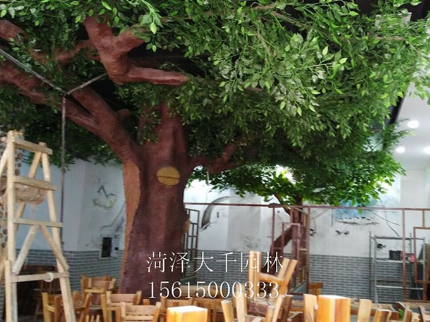 點(diǎn)擊查看詳細(xì)信息<br>標(biāo)題：假樹 閱讀次數(shù)：1437