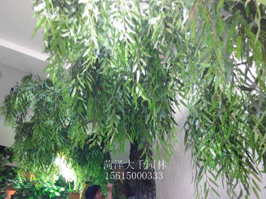點擊查看詳細信息<br>標題：假樹 閱讀次數：1316
