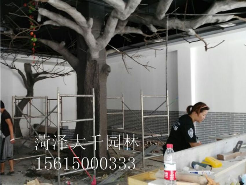 點擊查看詳細(xì)信息<br>標(biāo)題：假樹 閱讀次數(shù)：1318