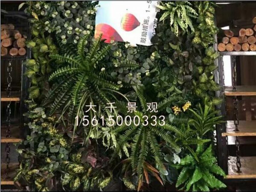 點擊查看詳細信息<br>標題：綠植墻 閱讀次數(shù)：1346