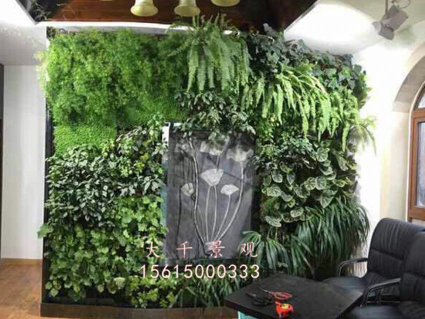 點(diǎn)擊查看詳細(xì)信息<br>標(biāo)題：綠植墻 閱讀次數(shù)：1696