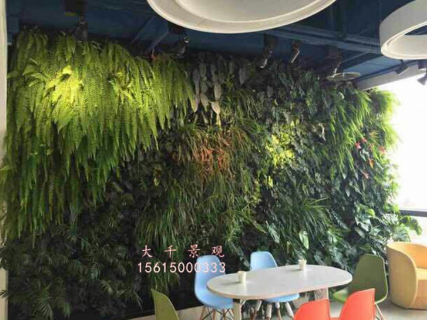 點擊查看詳細(xì)信息<br>標(biāo)題：綠植墻 閱讀次數(shù)：1900