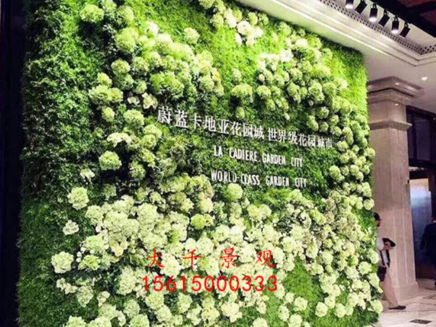 點擊查看詳細(xì)信息<br>標(biāo)題：綠植墻 閱讀次數(shù)：1983