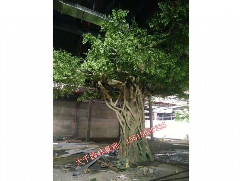 點(diǎn)擊查看詳細(xì)信息<br>標(biāo)題：假樹(shù) 閱讀次數(shù)：1637